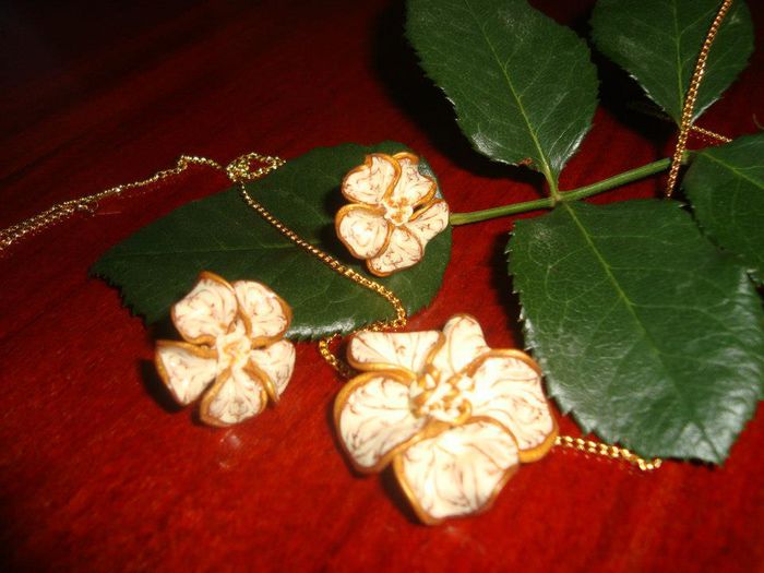 198492_424184344307673_248659419_n