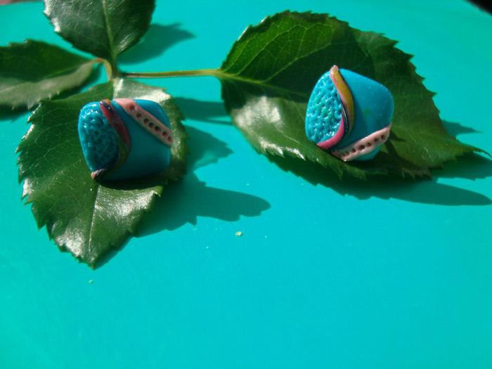 199329_419426508116790_1251359754_n - seturi