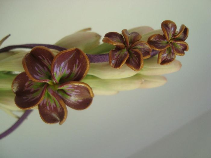 523620_415322585193849_264569566_n - seturi