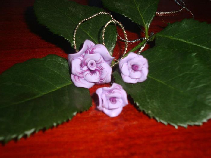 427833_424183994307708_155826004_n - Trandafiri