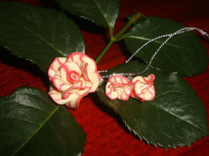 539336_424184187641022_1491885906_n