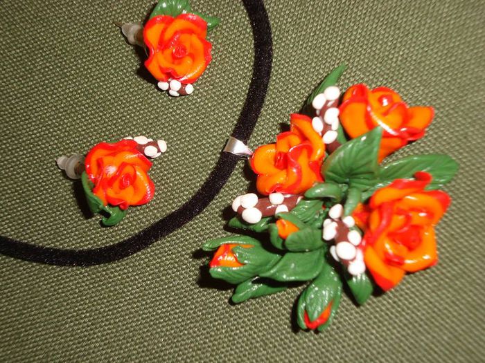 1003249_550084028384370_762735514_n - Trandafiri