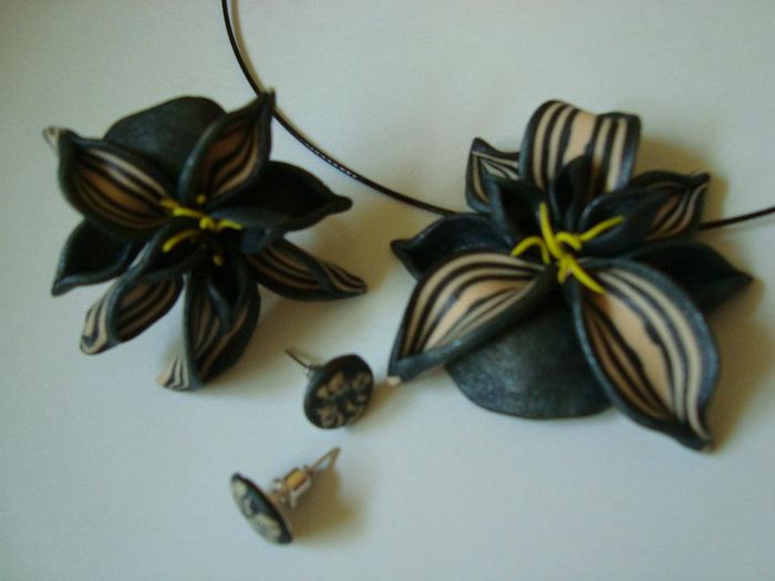 313059_406418429417598_416679023_n