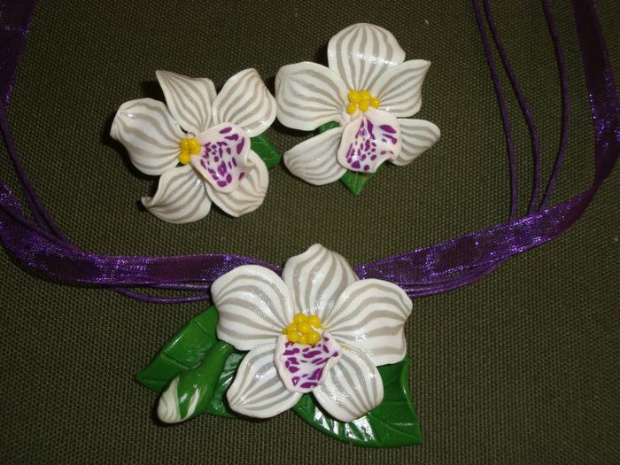 551256_406430106083097_1303756207_n