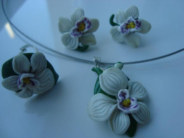 578853_409882575737850_467863662_n