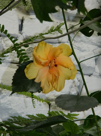 DSCN1215