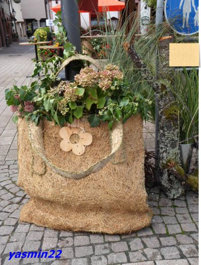 SAM_1042  19 sep.2015