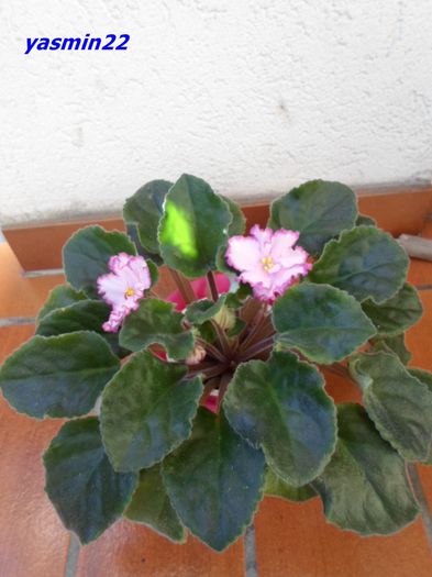 SAM_1173   28 sep.2015