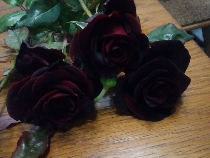 20151017_182116 - 2015 Gradina de roze