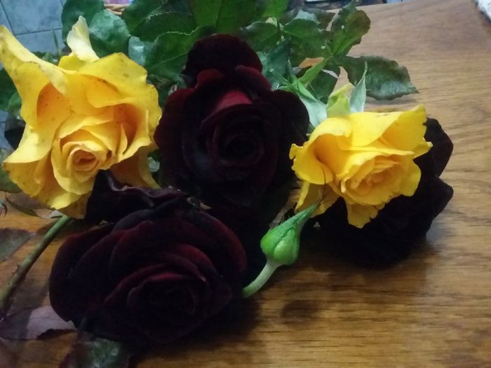 20151017_182216 - 2015 Gradina de roze