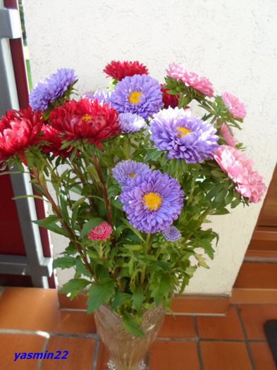 SAM_1199  sep 2015