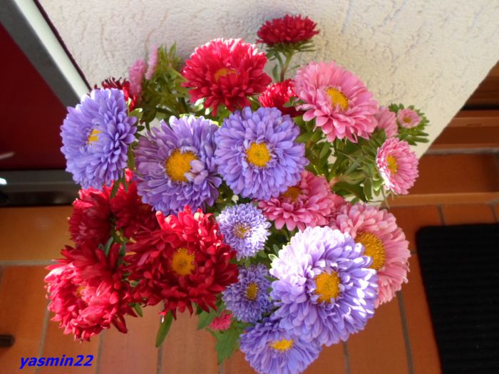 SAM_1200   sep.2015