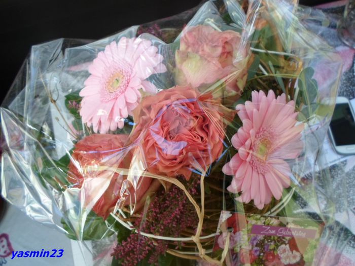 SAM_1219  3 oct.2015