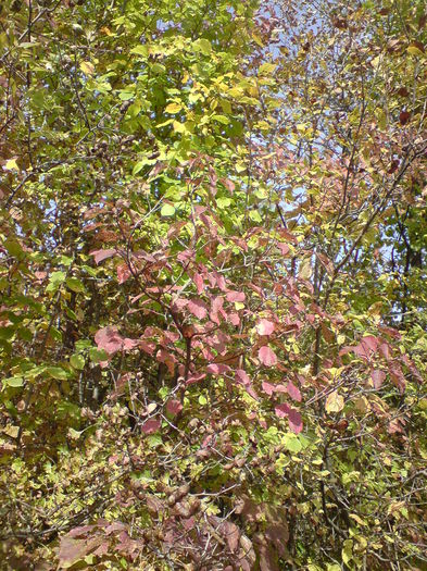 DSC01008