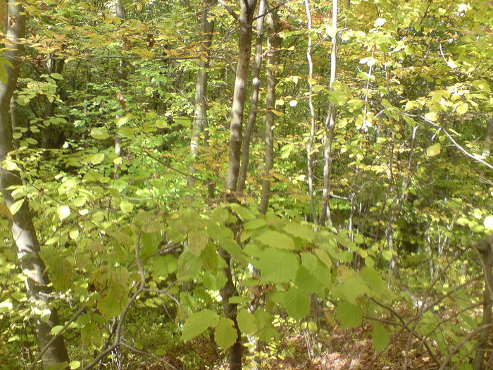 DSC01025