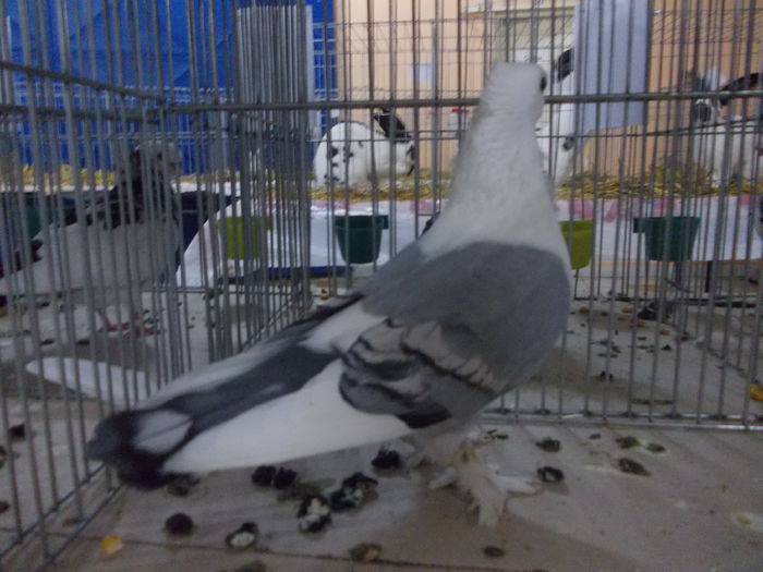DSCN1364