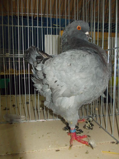 DSCN1370