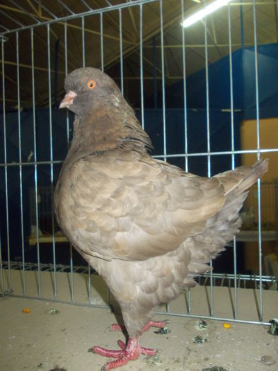 DSCN1373