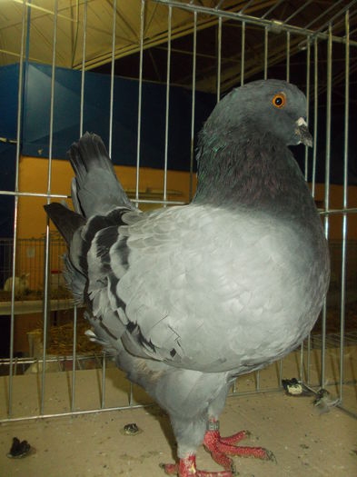DSCN1374