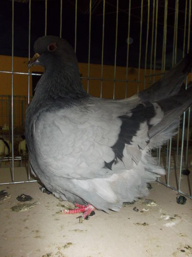 DSCN1381