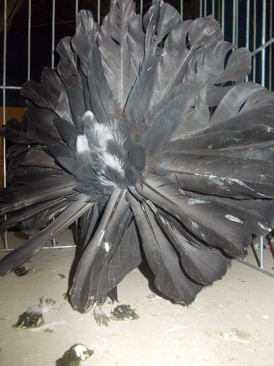 DSCN1383