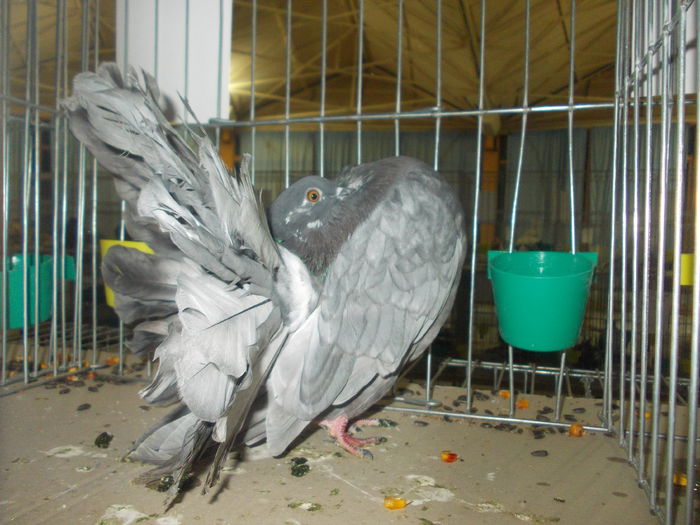 DSCN1384