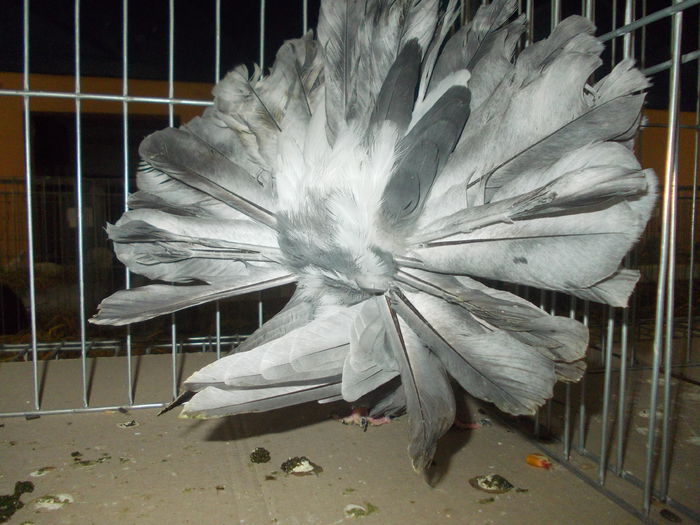 DSCN1387