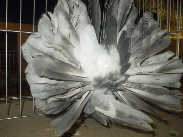 DSCN1389