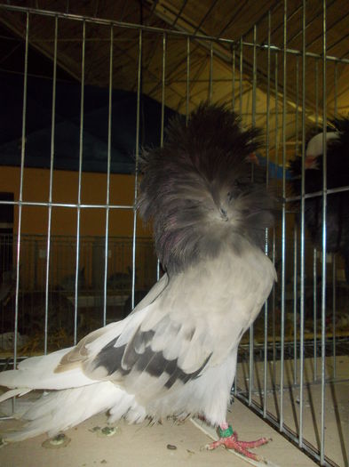 DSCN1400
