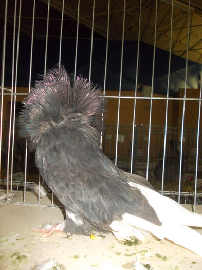 DSCN1402