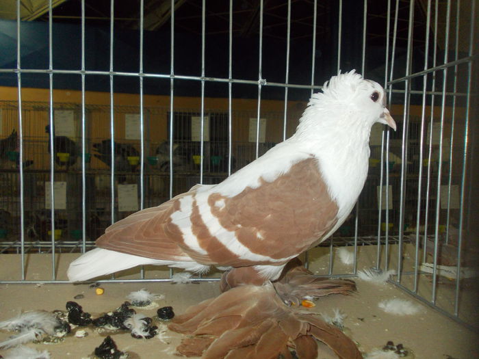 DSCN1428
