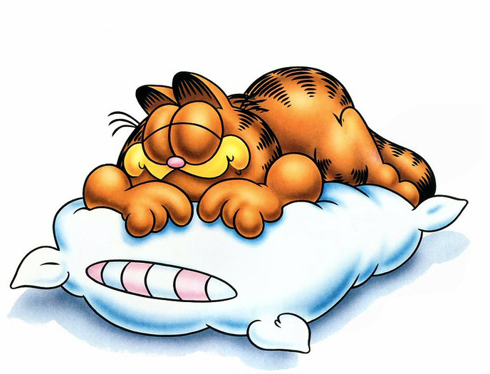 garfield sleeping