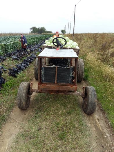 20151016_152429 - tractor facut acasa