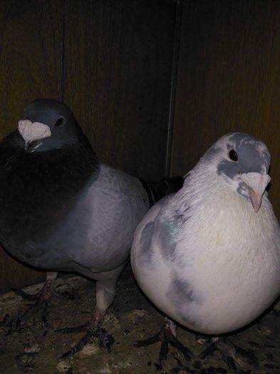 received_880036308743787