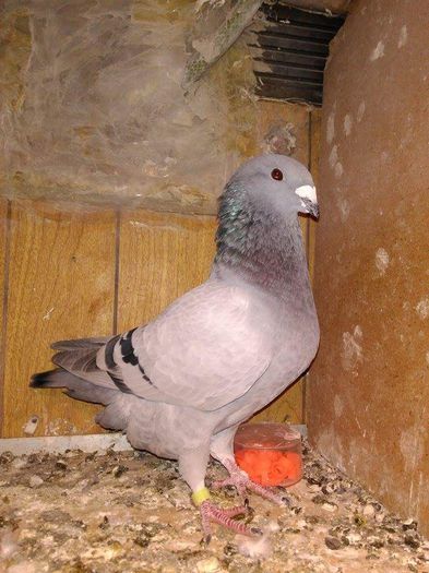 received_880035388743879