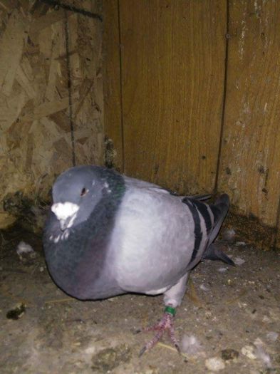 received_880035558743862