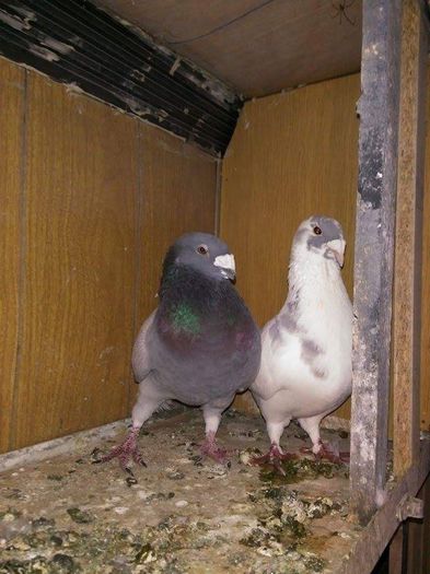 received_880036322077119