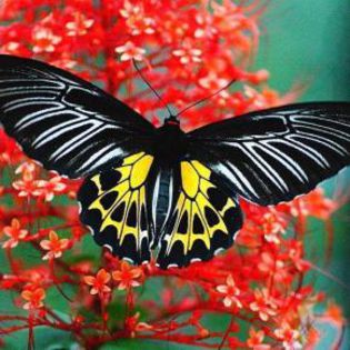 680503_1dbc226b34e3115e7fd405b29d72b80b_mdsq