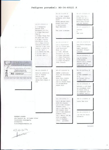 Columb-Kaskadoru-RO-260483-2015-pedigree-2 - achizitii 2015