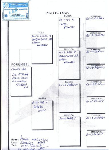 Columb-Kaskadoru-RO-260483-2015-pedigree-1