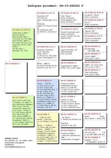 Degeanu-Florin-RO-282202-2015-F-pedigree