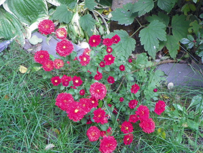 19 oct 071