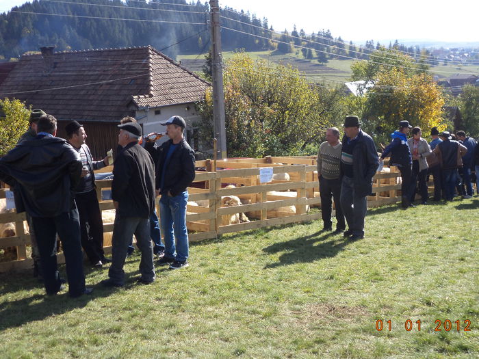 Oamenii la standul oilor