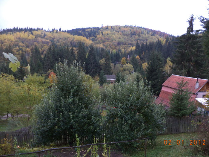 Peisaj superb Toplita