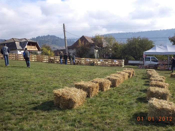 Scena facuta din baloti - EXPOZITIA ANIMALE SARMAS HARGHITA 2015