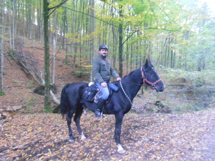 CLADOVA -CASOAIA 12 KM - SCOALA DE CALARIE VALEA CLADOVEI