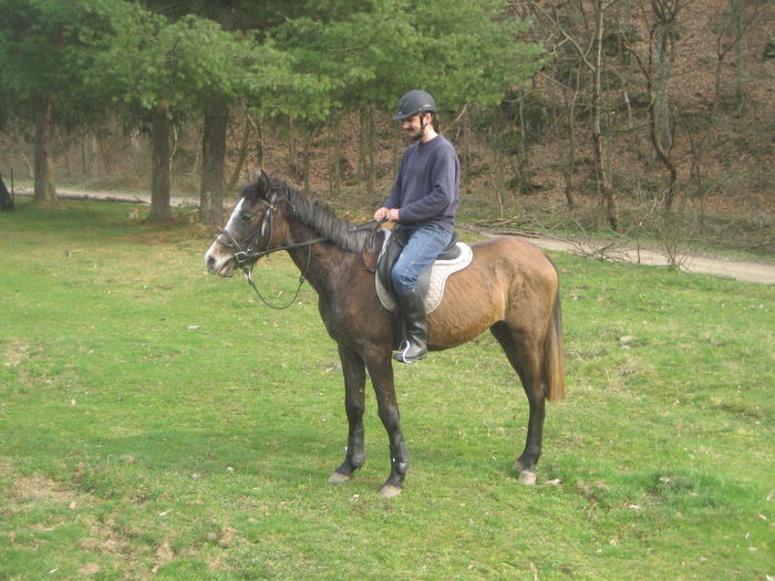 RAIRA DUPA GALOP IN PADURE - SCOALA DE CALARIE VALEA CLADOVEI