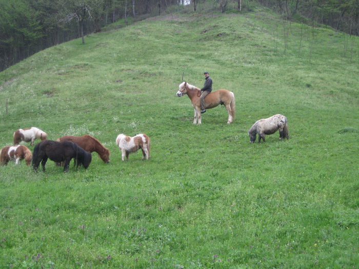 CU ADALON AM INCEPUT IN 2009 - SCOALA DE CALARIE VALEA CLADOVEI