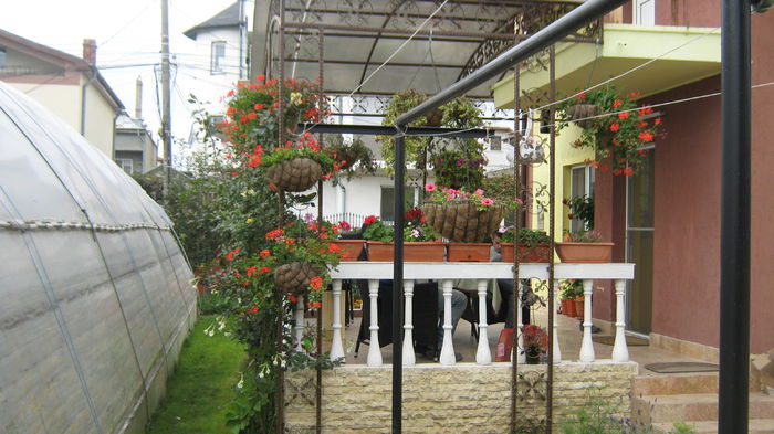 IMG_3137 - ANSAMBLU RUSTIC DE GRADINA LA LAZU