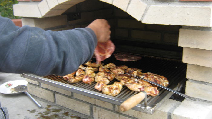IMG_3138 - ANSAMBLU RUSTIC DE GRADINA LA LAZU